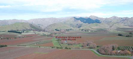 VineSmart - New Zealand Vineyard, Winery, Home, and Olive Grove For Sale - Marlborough, South Island, New Zealand  - Wine Real Estate